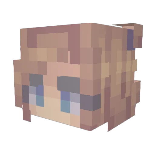 BAKW Minecraft avatar head, 3D render