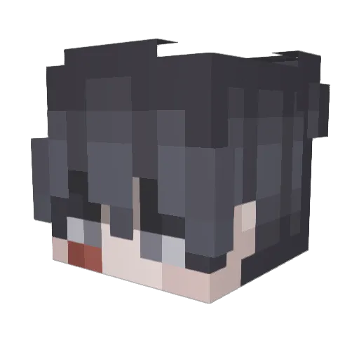 BALL_MASTER Minecraft avatar head, 3D render