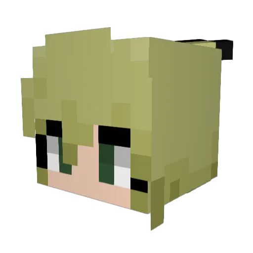 BAMINERS Minecraft avatar head, 3D render