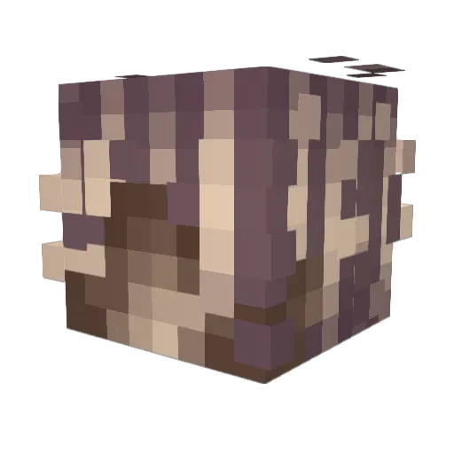 BAMISHEEEEE Minecraft avatar head, 3D render