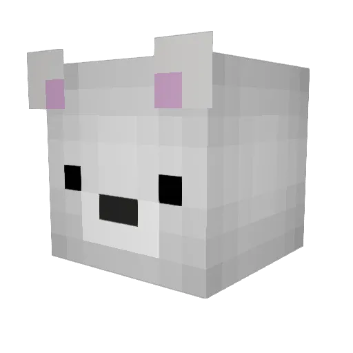 BAM_AJAK Minecraft avatar head, 3D render