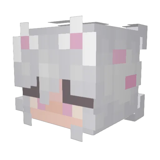 BANANABARBARA Minecraft avatar head, 3D render