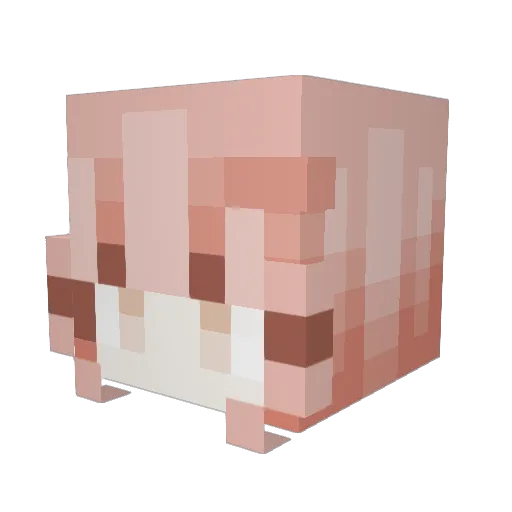 BANANOWIEC320 Minecraft avatar head, 3D render
