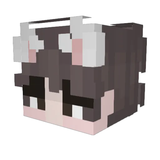 BANKKOY Minecraft avatar head, 3D render