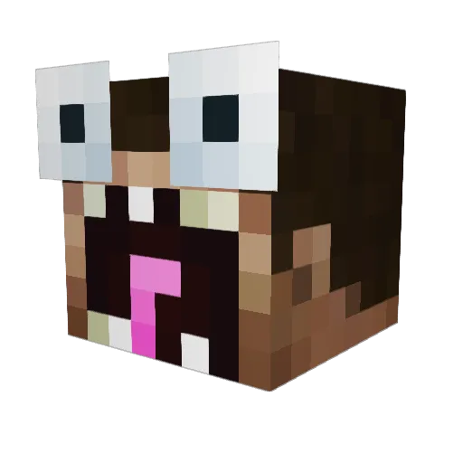 BANduha Minecraft avatar head, 3D render