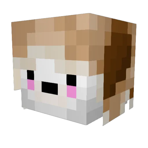 BAPOLARBEAR35 Minecraft avatar head, 3D render