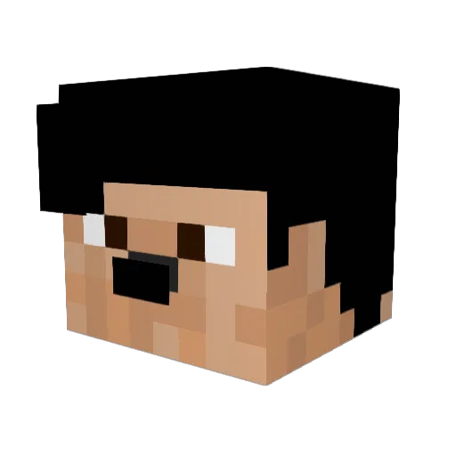 BARALON Minecraft avatar head, 3D render