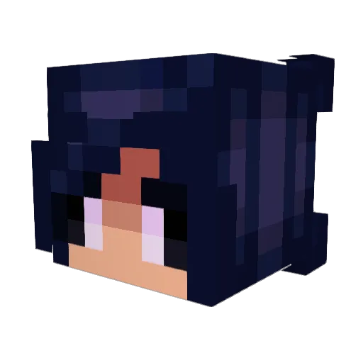 BARC0D3_ Minecraft avatar head, 3D render