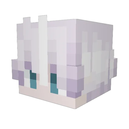 BARNAYL_ Minecraft avatar head, 3D render