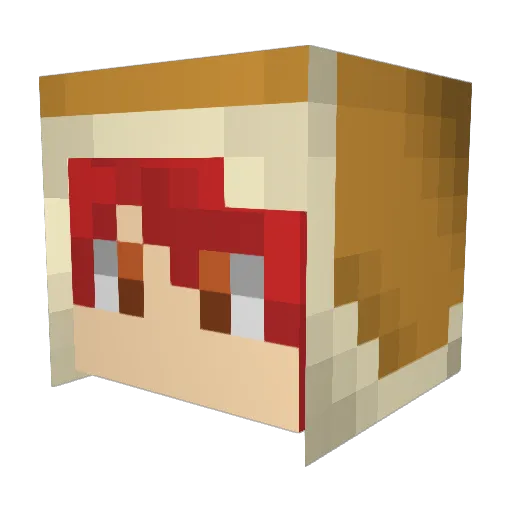 BARNS322 Minecraft avatar head, 3D render