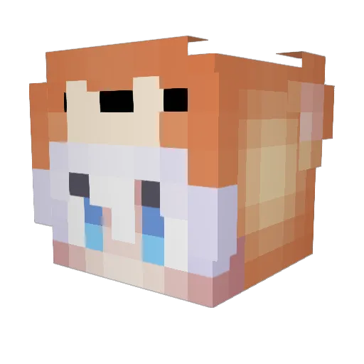 BARnyYT_ Minecraft avatar head, 3D render
