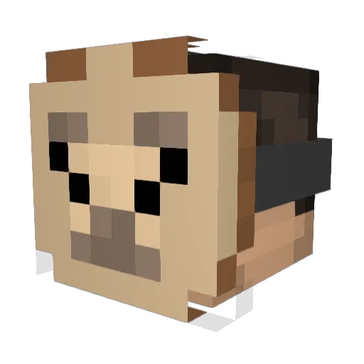 BASECAMP2013 Minecraft avatar head, 3D render