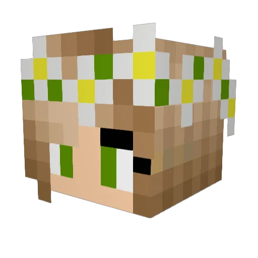 BASEDNATALIEx Minecraft avatar head, 3D render