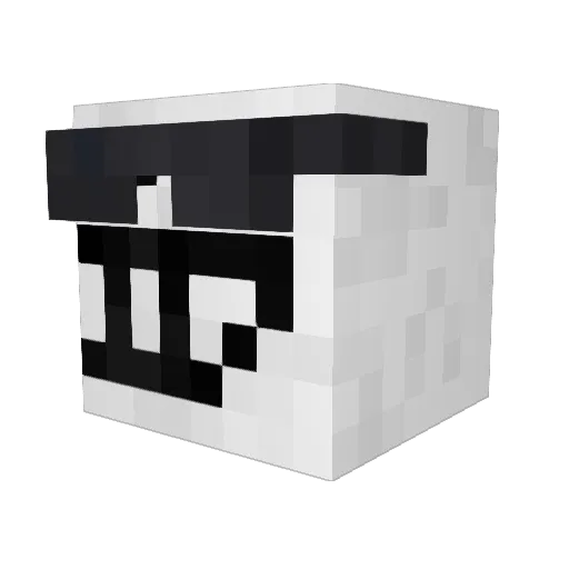 BASHAN_ Minecraft avatar head, 3D render
