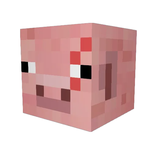 BASHKILLA Minecraft avatar head, 3D render
