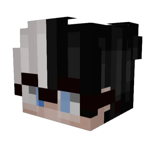 BATATA_RSS Minecraft avatar head, 3D render