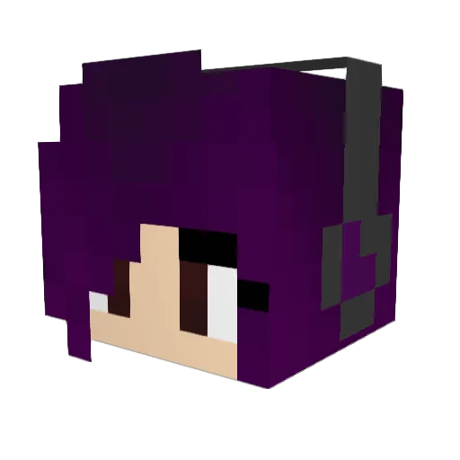 BATCAT1234 Minecraft avatar head, 3D render