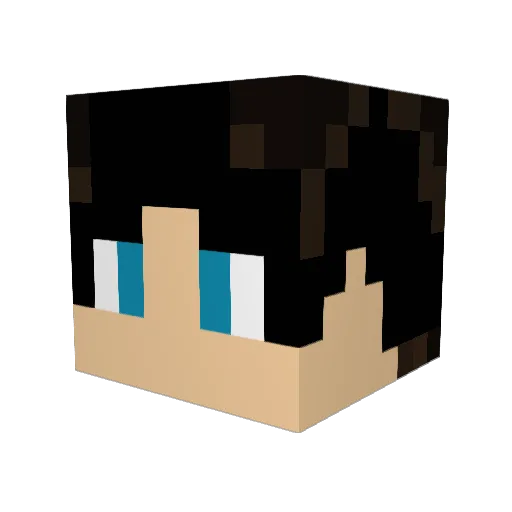 BATMAN_NANA Minecraft avatar head, 3D render