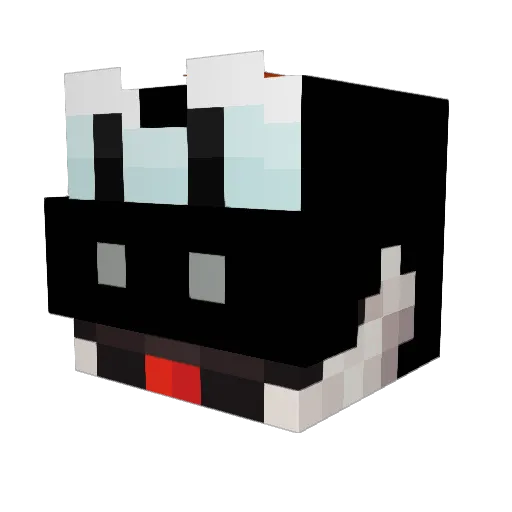 BAU3R_ Minecraft avatar head, 3D render