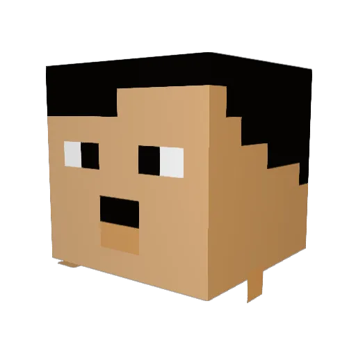BAUM3738 Minecraft avatar head, 3D render