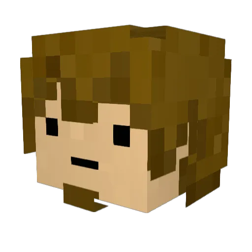 BAUM95 Minecraft avatar head, 3D render