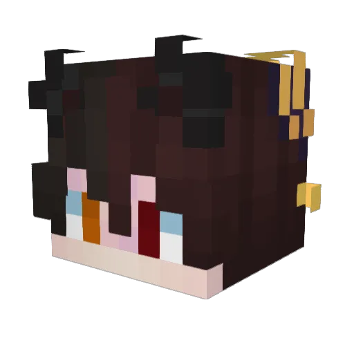 BAVDennix Minecraft avatar head, 3D render