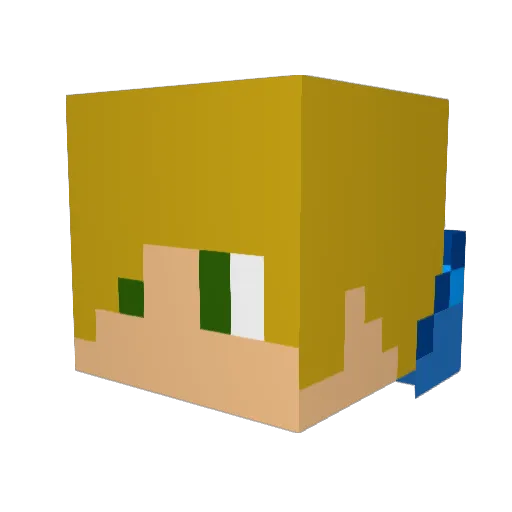 BAYBAY2005 Minecraft avatar head, 3D render