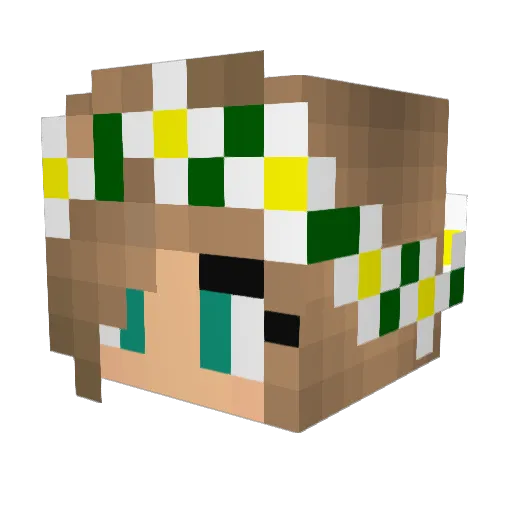 BAYSIDEBOMBER Minecraft avatar head, 3D render