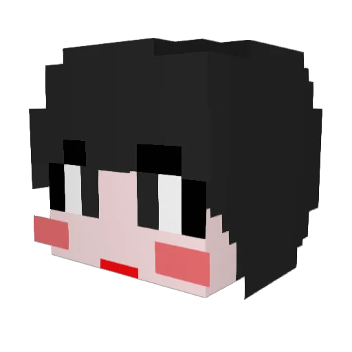 BA_wool Minecraft avatar head, 3D render