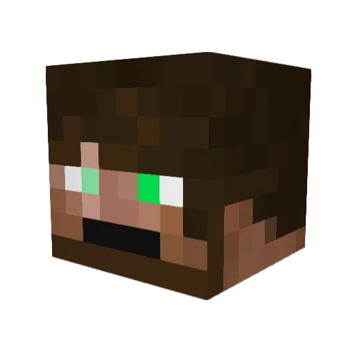 BAc0nCooker Minecraft avatar head, 3D render