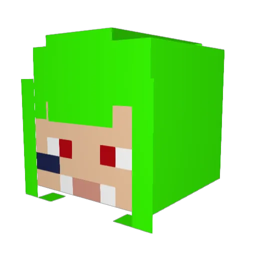 BBDog95 Minecraft avatar head, 3D render
