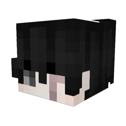 BBJZS Minecraft avatar head, 3D render