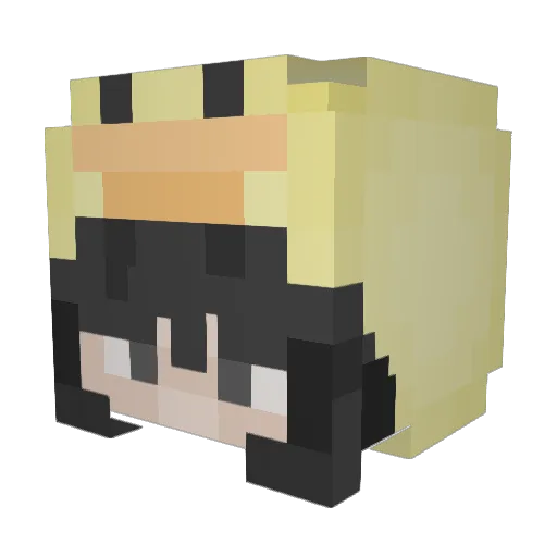 BBO19 Minecraft avatar head, 3D render