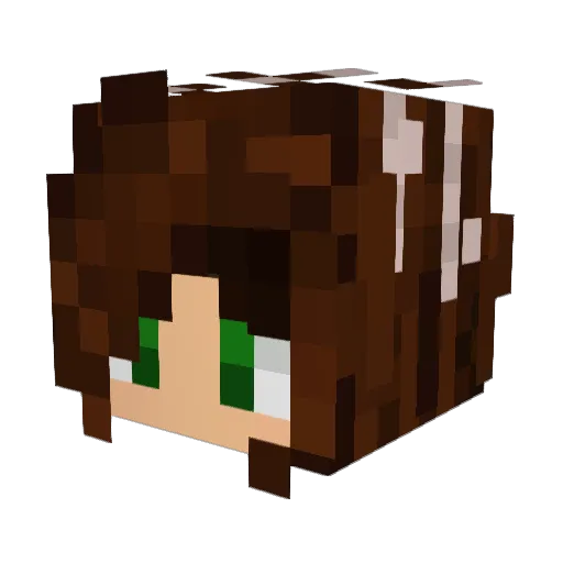 BBQ77 Minecraft avatar head, 3D render
