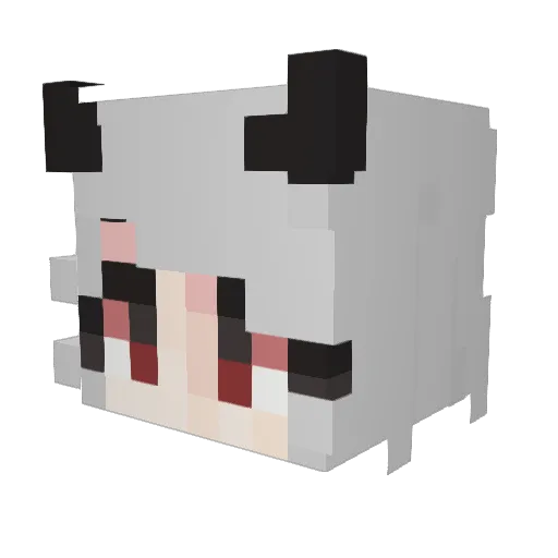 BBQHugo Minecraft avatar head, 3D render