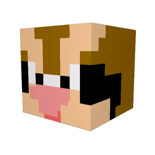 BBQPidgey Minecraft avatar head, 3D render
