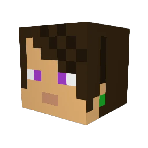 BBQ_0305 Minecraft avatar head, 3D render