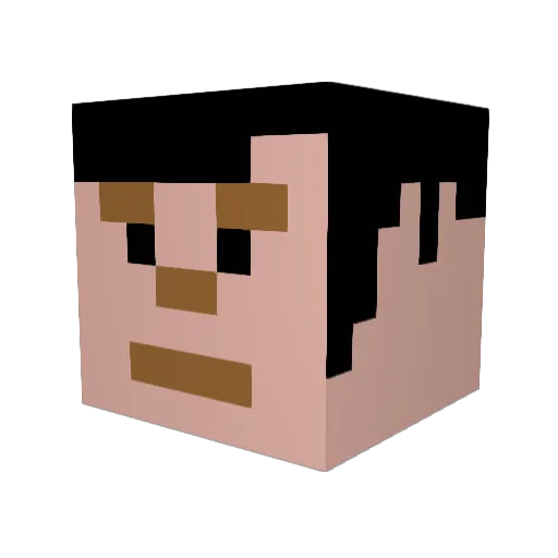 BBR36 Minecraft avatar head, 3D render