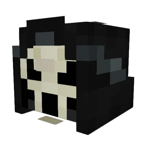 BBRR11 Minecraft avatar head, 3D render