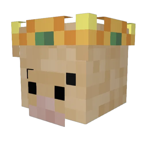 BBSrex Minecraft avatar head, 3D render