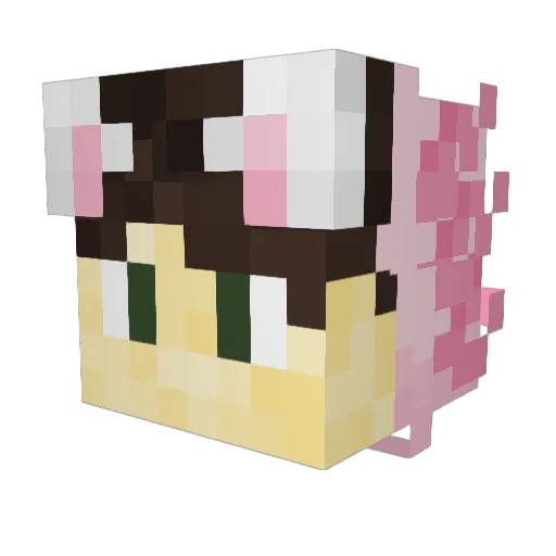 BBT12 Minecraft avatar head, 3D render