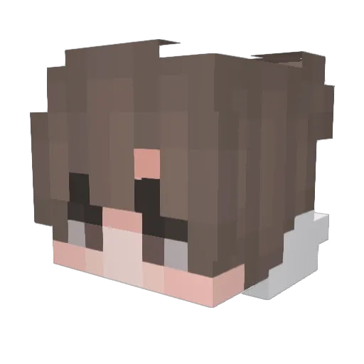BBXeryn Minecraft avatar head, 3D render