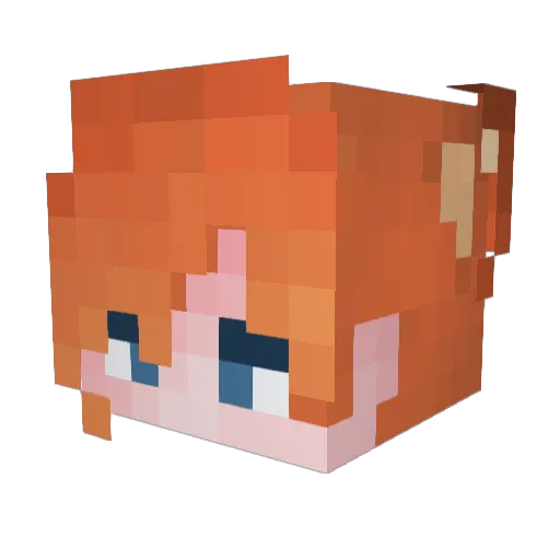 BB______ Minecraft avatar head, 3D render