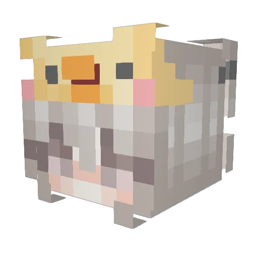 BBaconFish Minecraft avatar head, 3D render