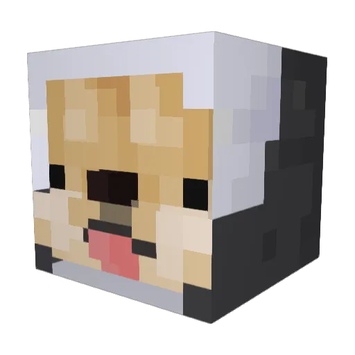 BBaiboon Minecraft avatar head, 3D render