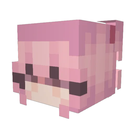BBarkerr Minecraft avatar head, 3D render