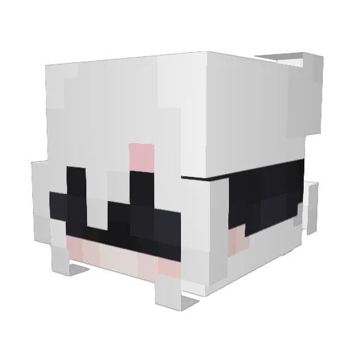 BBbrawl3r_ Minecraft avatar head, 3D render