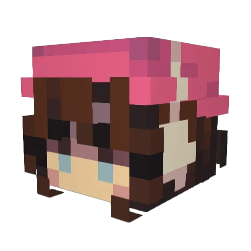 BBdansuncoin Minecraft avatar head, 3D render