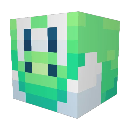 BBishop9 Minecraft avatar head, 3D render