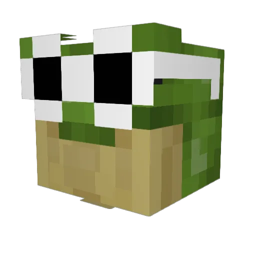 BBlaz_ Minecraft avatar head, 3D render